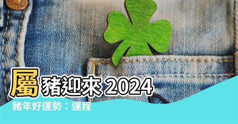 2024豬運程|2024屬豬幾歲、2024屬豬運勢、屬豬幸運色、財位、禁忌